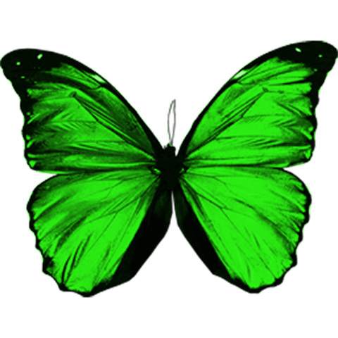 Green Butterfly PNG Images Download