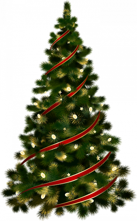 Green Christmas Tree Png Free Download