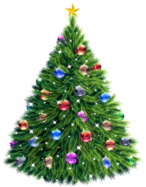 Green Christmas Tree Png Free Download