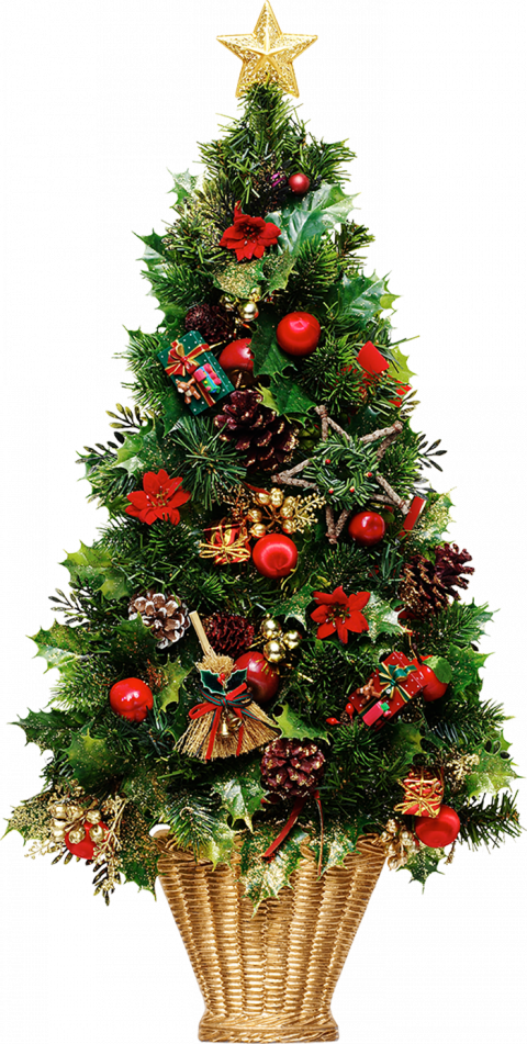 Green Christmas Tree Png Free Download