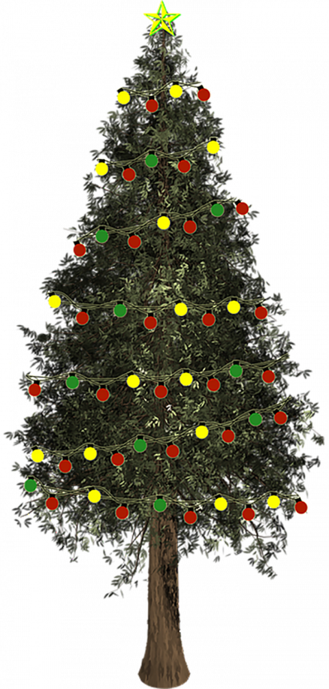 Green Christmas Tree Png Free Download