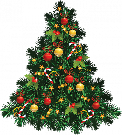Green Christmas Tree Png Free Download