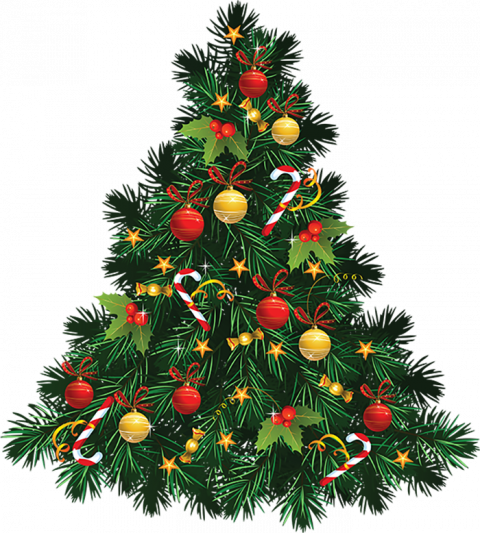 Green Christmas Tree Png Free Download