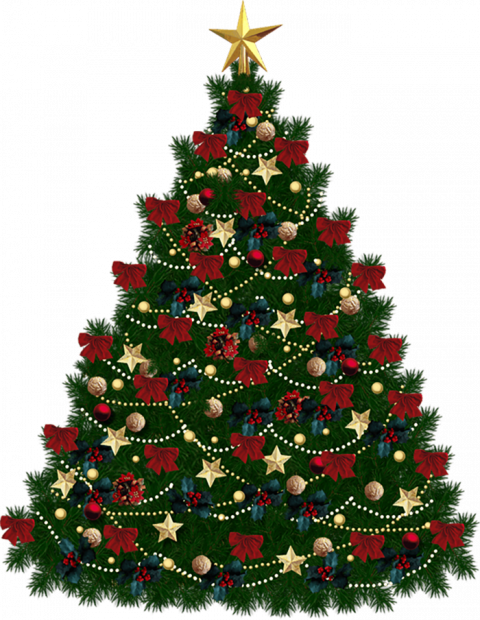 Green Christmas Tree Transparent Image HD