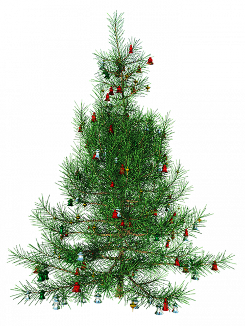 Green Christmas Tree Transparent Image HD