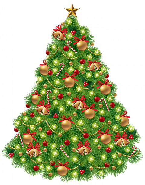 Green Christmas Tree Transparent Image HD