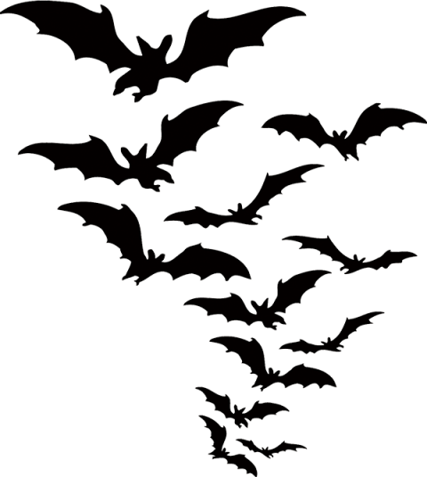Halloween Bat PNG Full HD Image