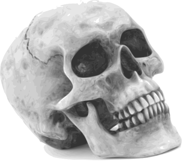 Halloween Skull Free PNG Image Download