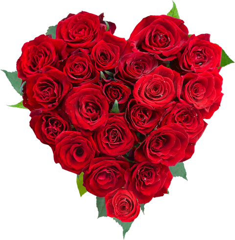 Heart Red Rose Bouquet Flowers PNG