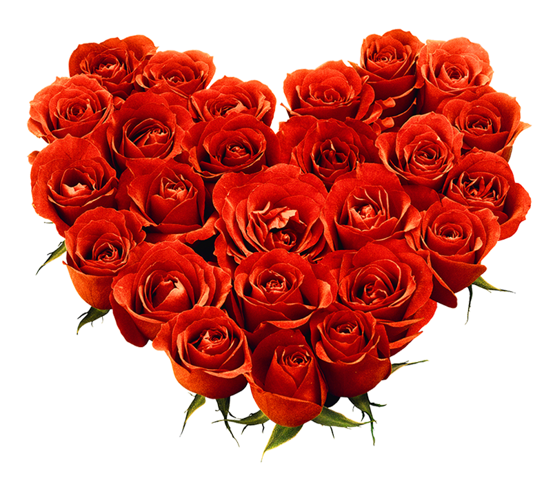 Heart Red Rose Flower PNG Images