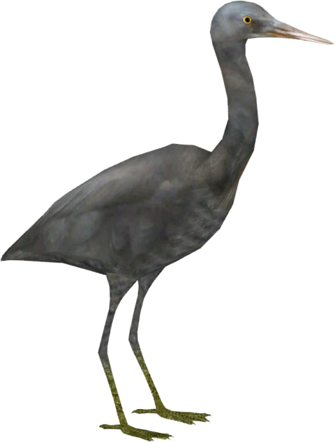 Heron PNG Images HD free download