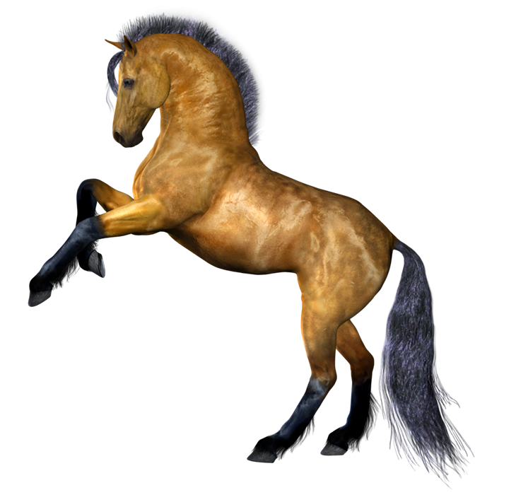 Horse Transparent PNG For Picsart HD