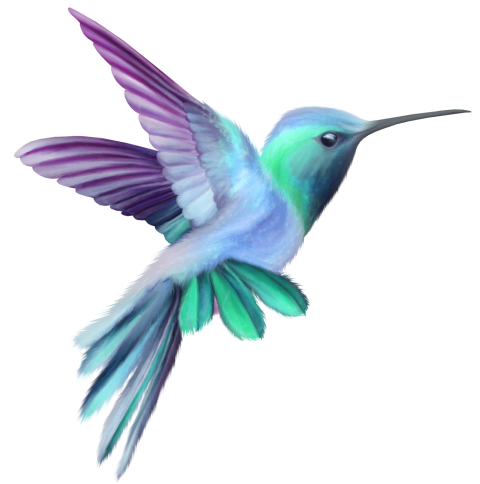 Hummingbird Flying Tattoos Transparent Free PNG