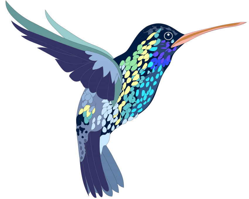 Hummingbird Tattoos Download Free PNG
