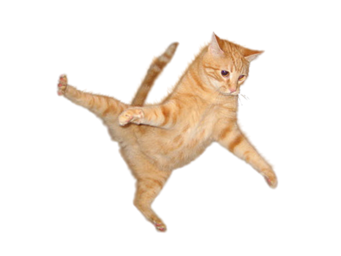 Jumping Cat Png Transparent Image