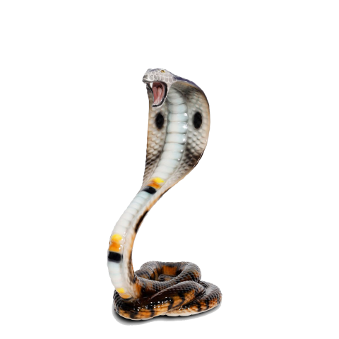 King Cobra PNG HD Quality Download