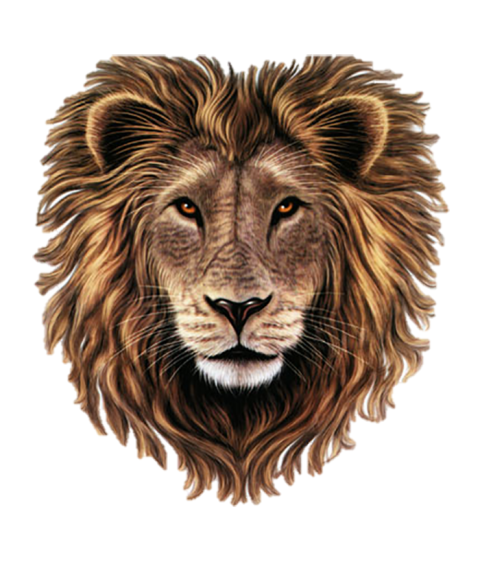 Lion Logo Transparent PNG