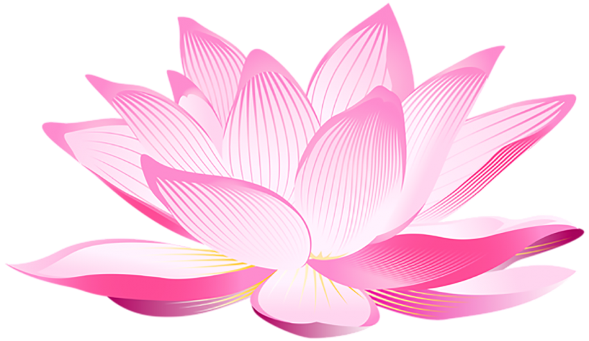 Lotus Flower Drawing HD PNG Download