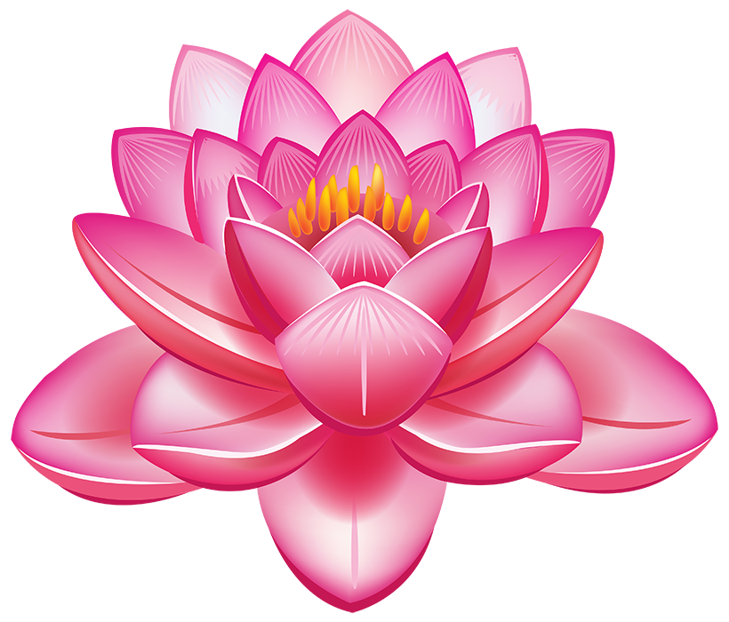 Lotus Flower PNG Download HD