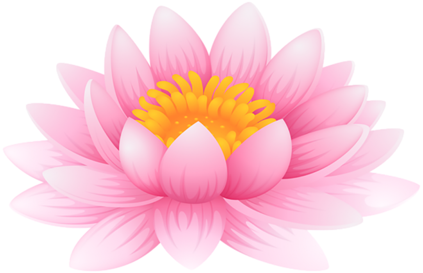 Lotus Flower PNG Images Free Download