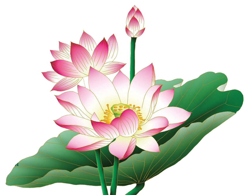 Lotus Flower Tree HD PNG Download