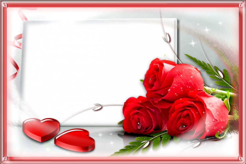 Love frame png rose Full HD Download