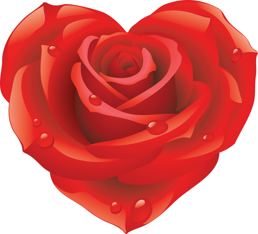 Love Red Rose Flower PNG Download