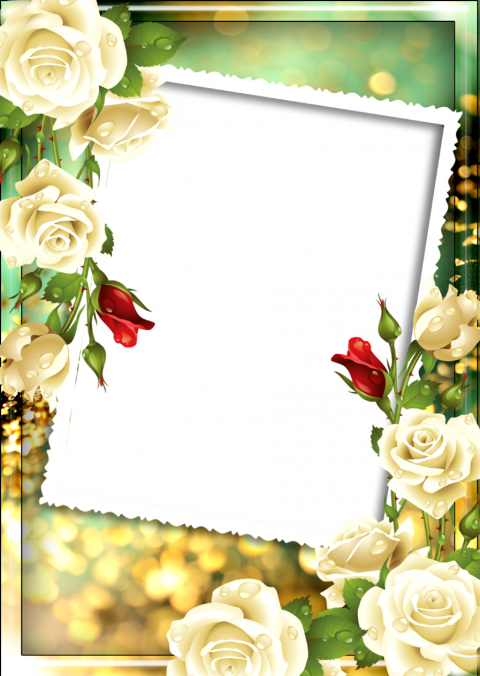 Love Rose Flower Frame Free PNG Download