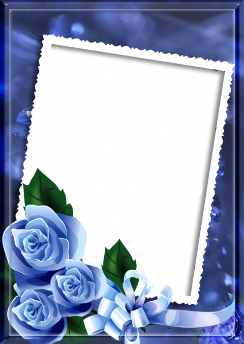 Love Rose Flower Frame PNG Download HD