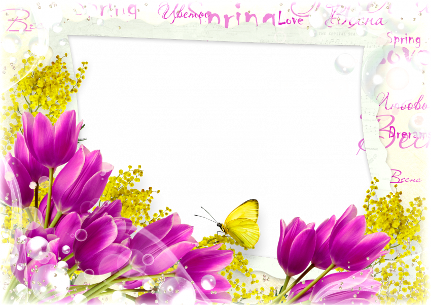 Love Rose Flower Frame PNG Full HD