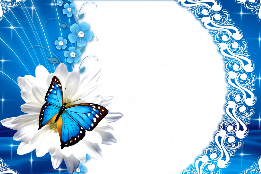 Love Rose Flower Frame PNG Full HD Free