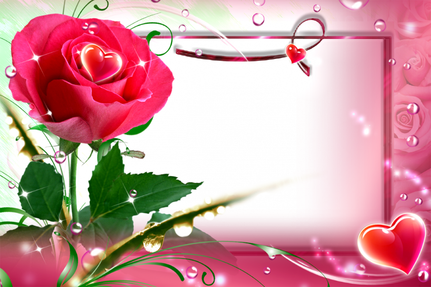 Love Rose Flower Frame PNG HD Download