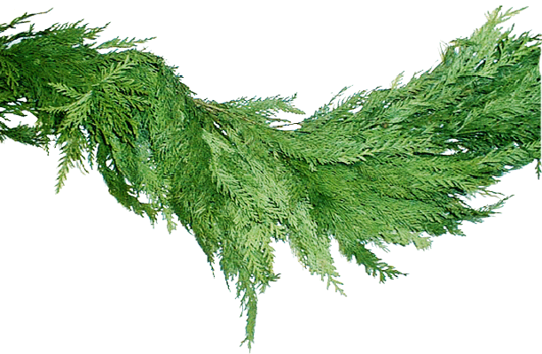 Merry Christmas Garland PNG Free Download