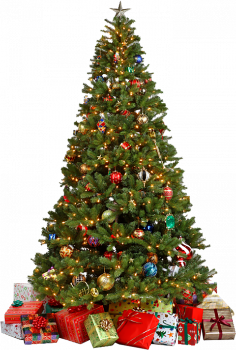 Merry Christmas Tree PNG Images Download