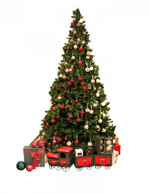 Merry Christmas Tree PNG Images Download