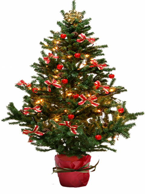 Merry Christmas Tree PNG Images Download Free