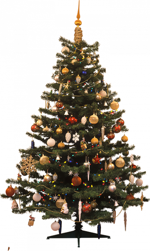 Merry Christmas Tree PNG Transparent Background