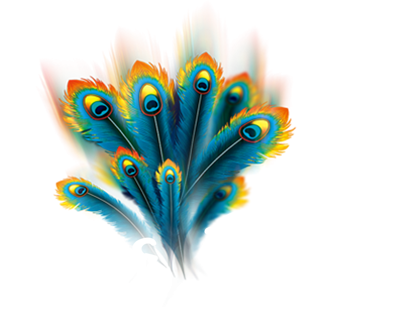 Peacock Feather Transparent PNG