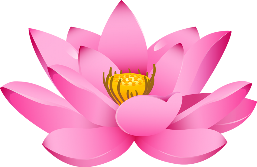 Pink Lotus Flower Clipart Vector PNG Download HD