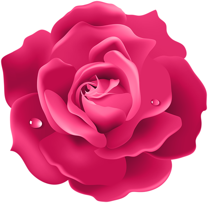 Pink Rose Clipart Flower PNG Images