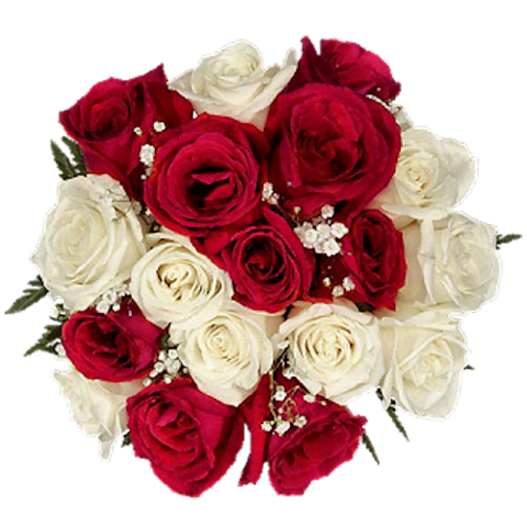 Red And White Flowers Bouquet Hd
