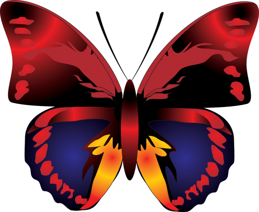 Red Butterfly Transparent PNG Images