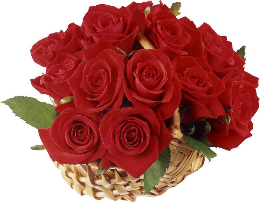 Red Rose Bouquet Flower PNG Download