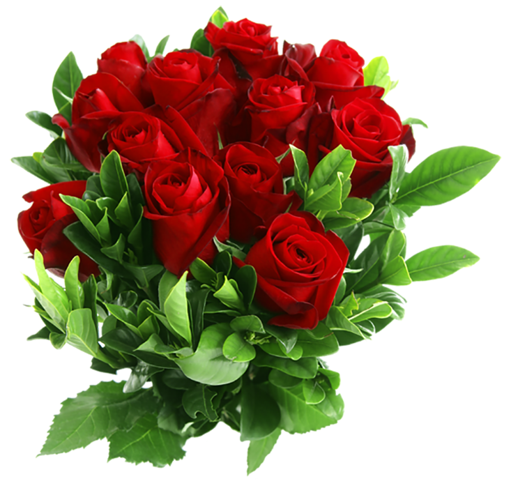 Red Rose Bouquet Flower PNG Hd