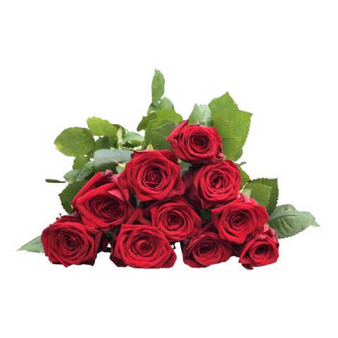 Red Rose Bouquet Flower PNG Images New