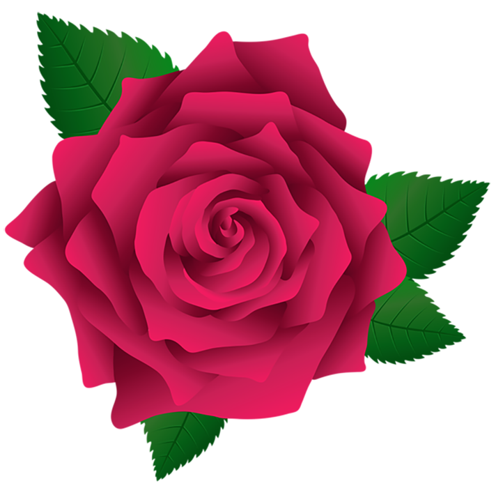 Red Rose Clipart Flower PNG Images
