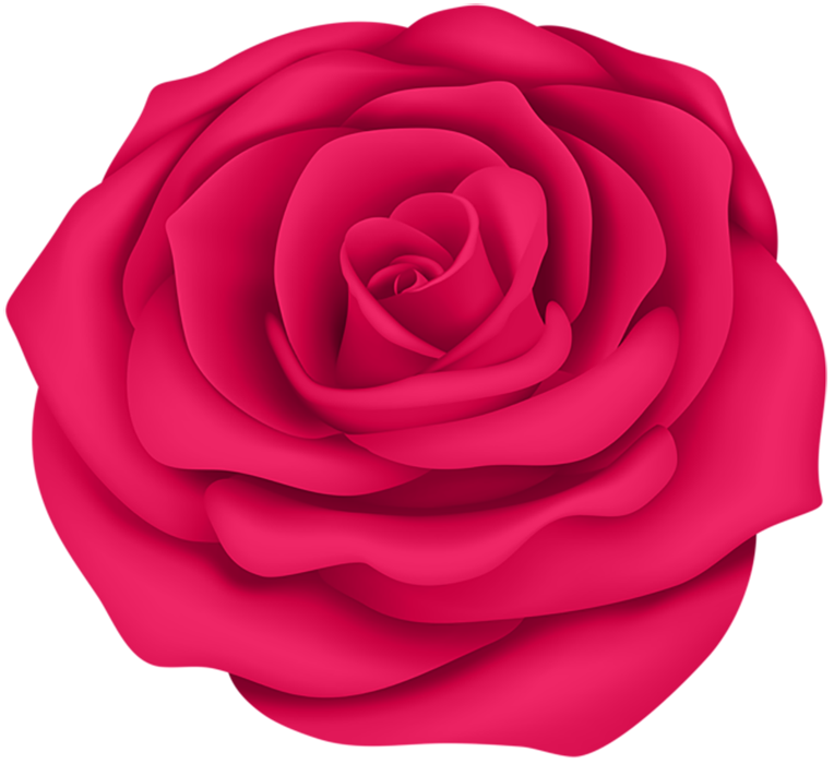 Red Rose Clipart Flower PNG Images Hd