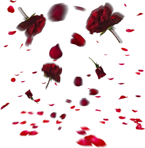 Red Rose Flower Leaf Png Download