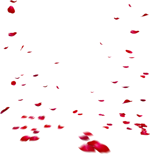 Red Rose Flower Leaf Transparent Png