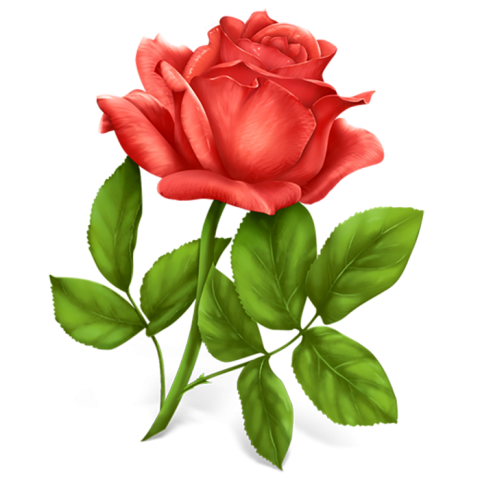 Red Rose Flower PNG Images Full HD